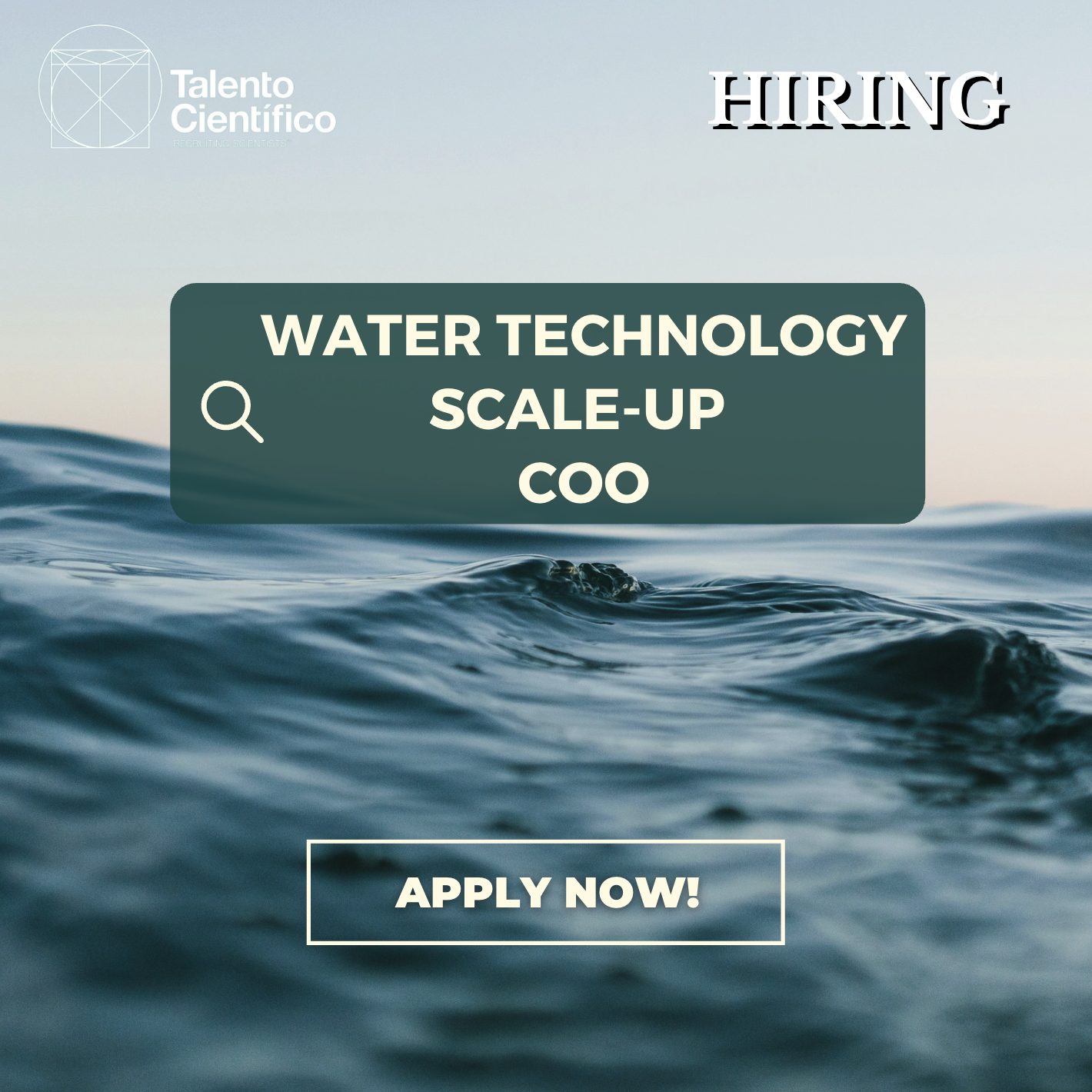 En este momento estás viendo Chief Operating Officer (Water Technology Scale-up)